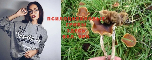 дурь Ростов