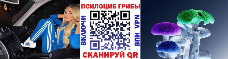 продажа наркотиков mega ONION Псилоцибиновые грибы прущие грибы Каменск-Шахтинский